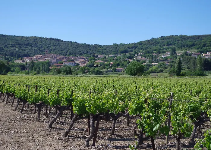 Appartamento Reposantes Au Domaine Du Mas La Magdelaine